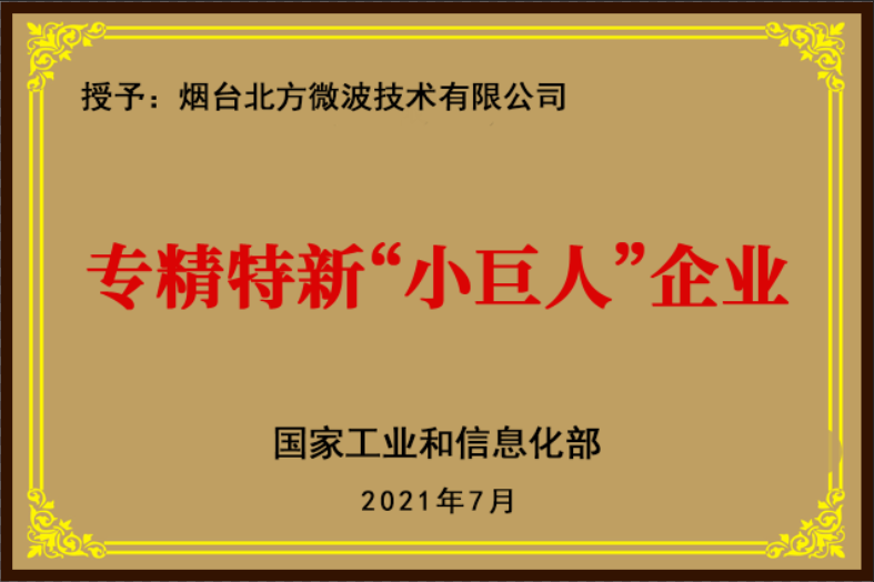 專(zhuān)精特新”小巨人“企業(yè)